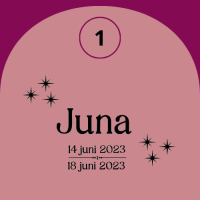 Memorybox - na overlijden - groot